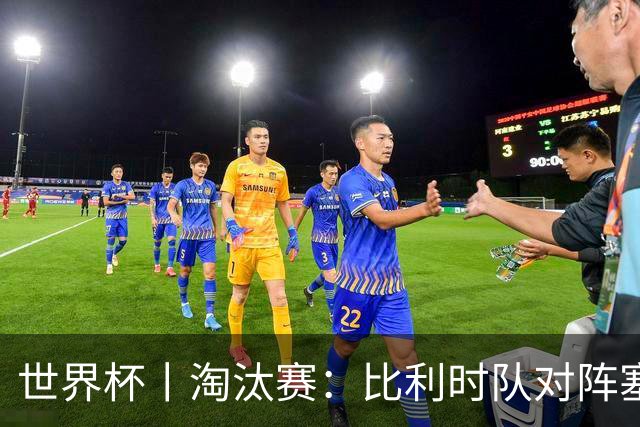 世界杯丨淘汰赛：比利时队对阵塞内加尔队