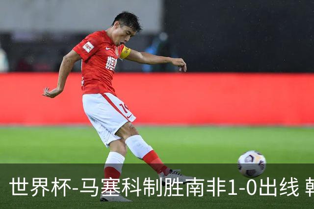 世界杯-马塞科制胜南非1-0出线 韩国积3分获小组第三待定